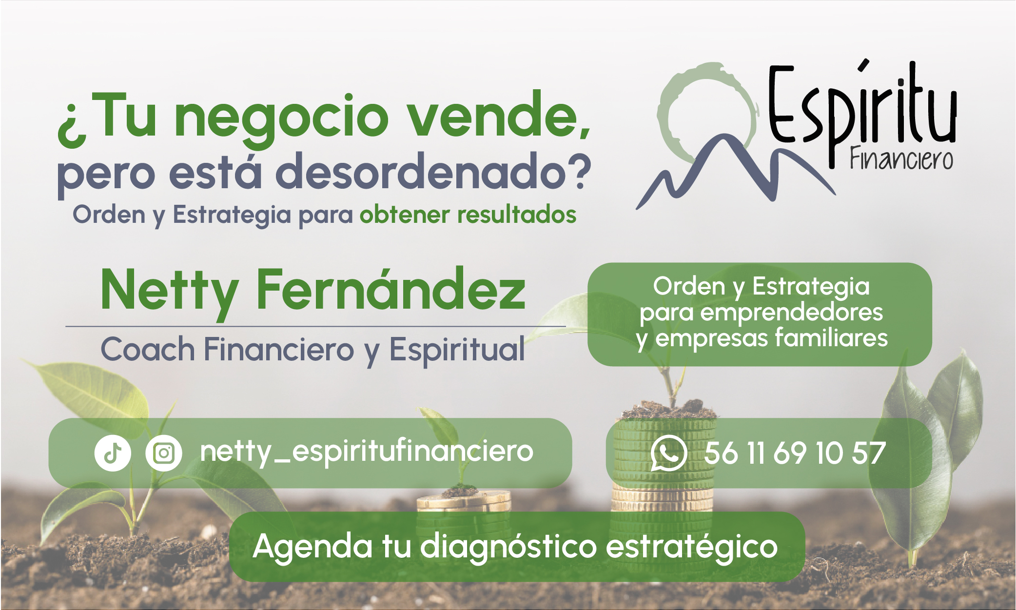 Espíritu Financiero